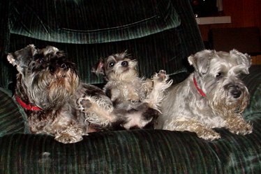 Oskar - kickin' back!