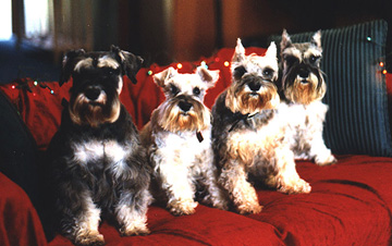 Christmas 1996