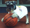 Kaiser Plays B-Ball