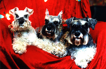 Christmas 1997