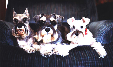 Christmas 1999