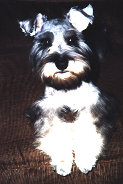 Gretel's 1st Haircut