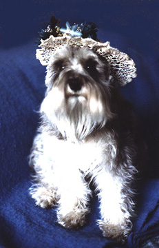 Gretel's Easter Bonnet