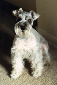 Gretel - Sitting Pretty