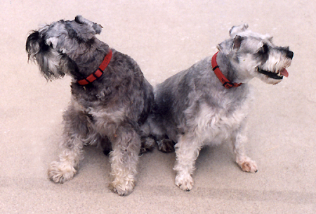 Bookends