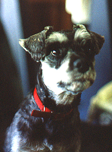 Gustav #5