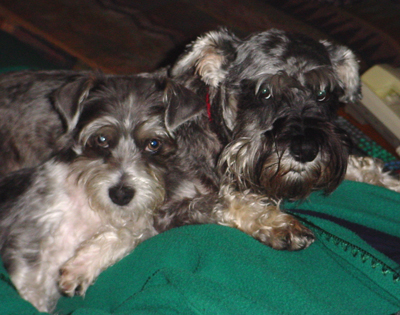 Oskar & Gustav on Mom