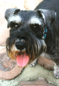 Kaiser
