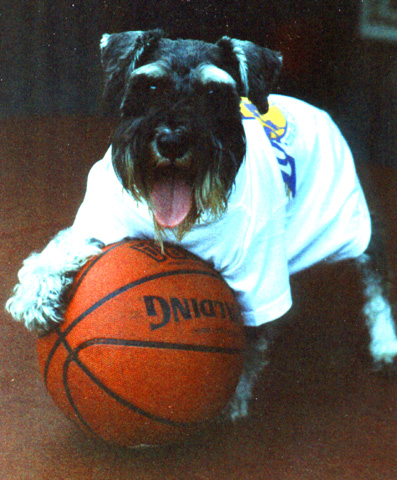 Kaiser LOVES B-Ball!!!