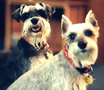 Tucker & Sheila